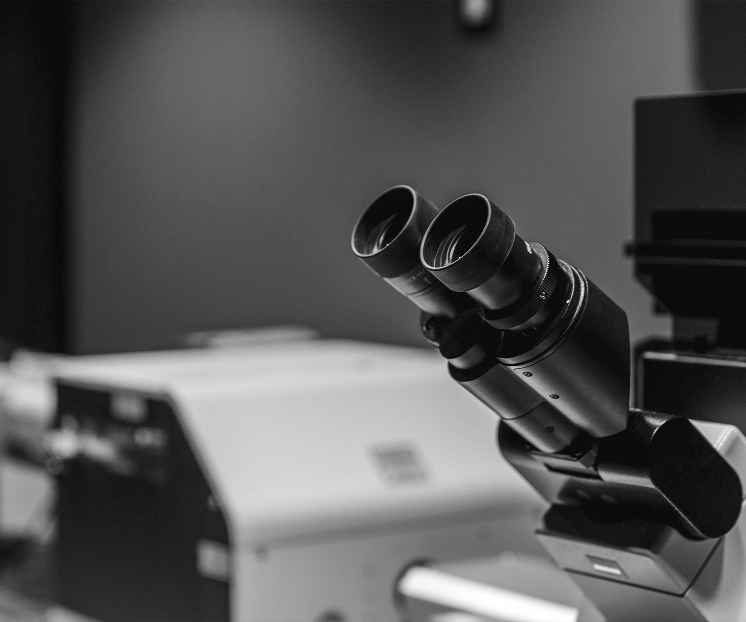 Combien de caféine dans le maté ?