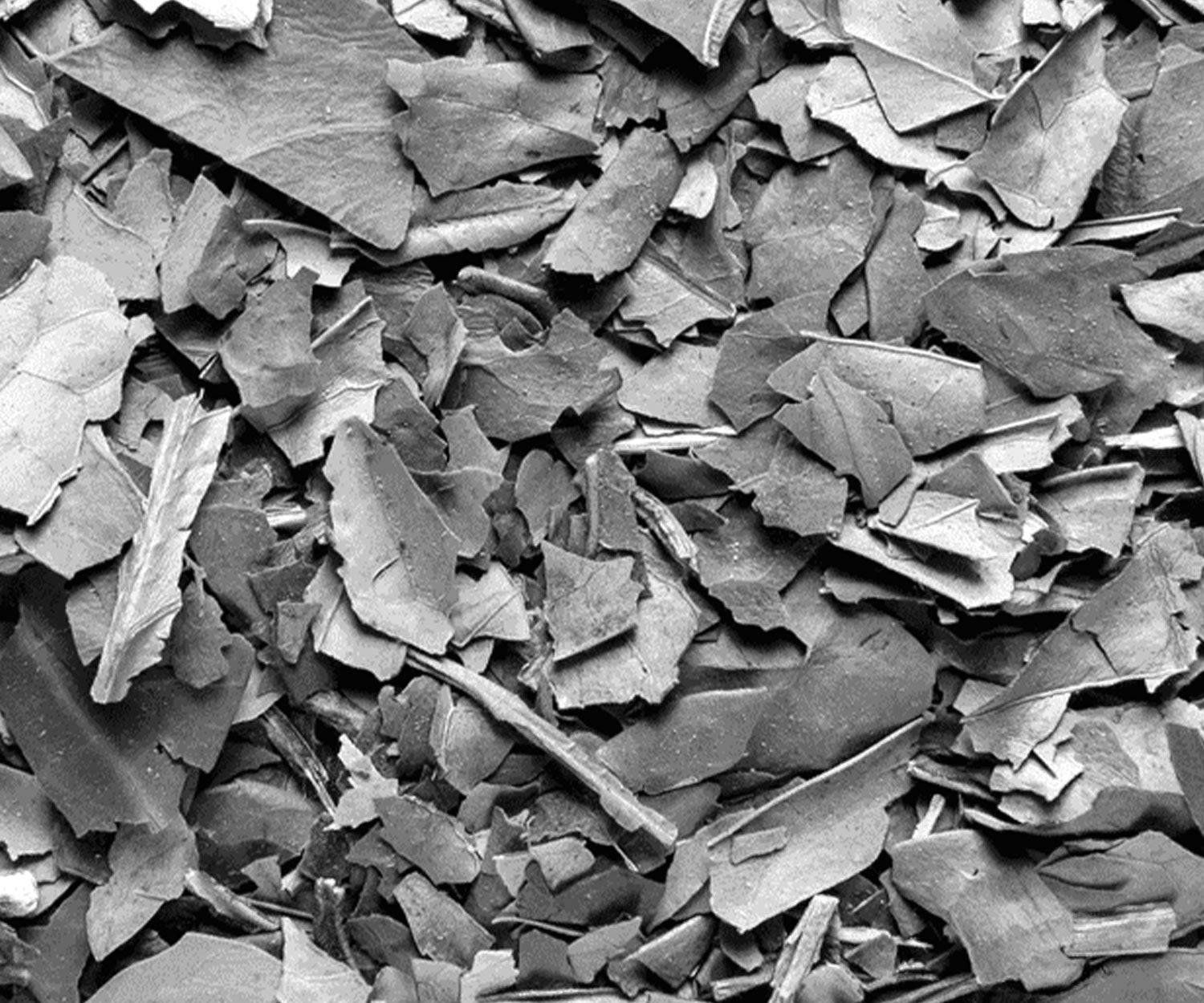 Les différents types de maté